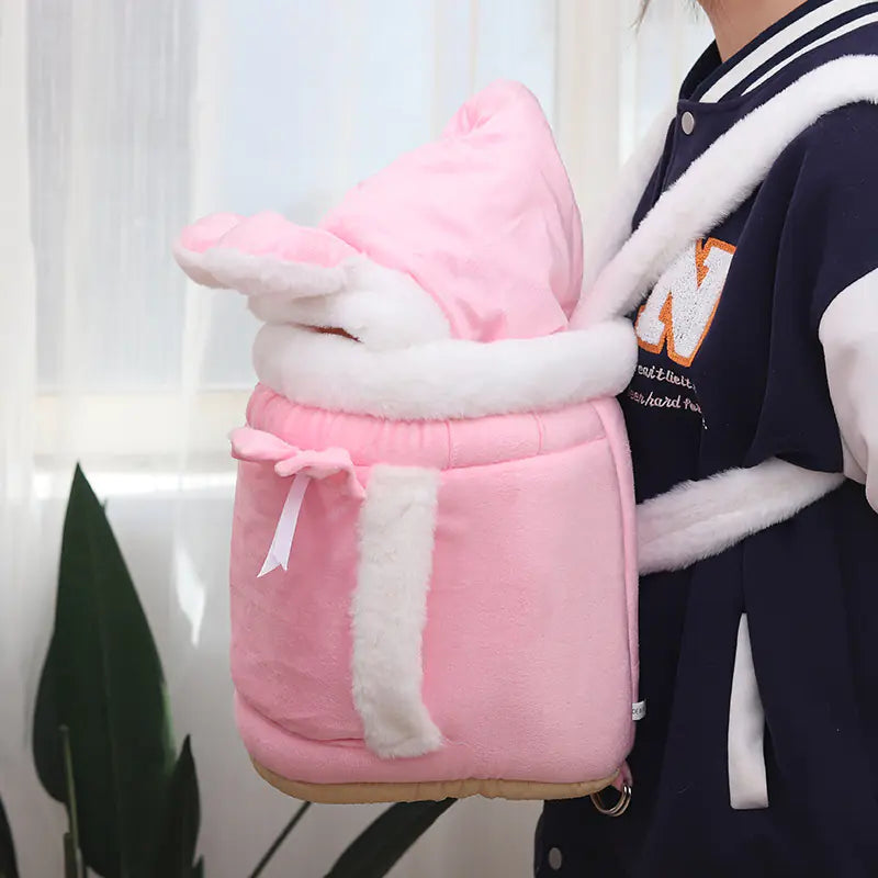Cute cat/dog Backpack and Indoor Bed Combo