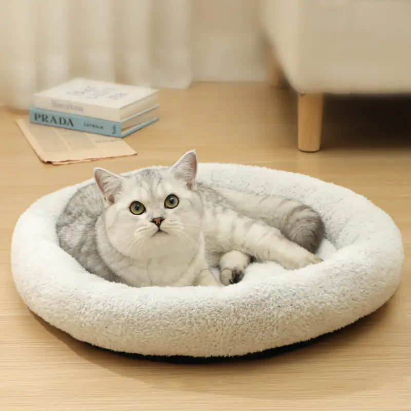 Warm Cat/dog Bed & Soft Cushion